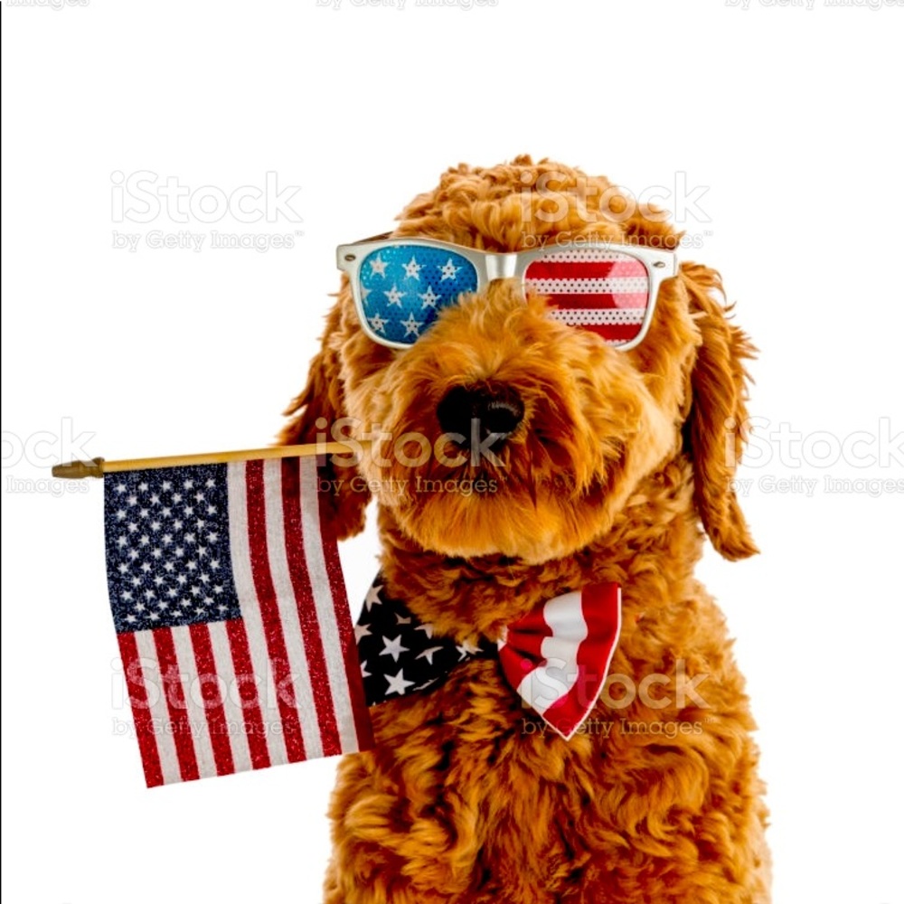 GOD BLESS AMERICA ..SHOP TILL YOU DROP